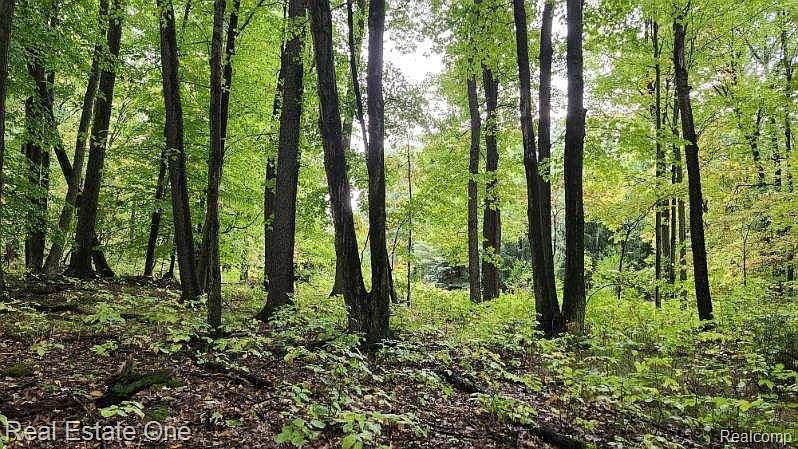 0 Curtis Rd, photo 9