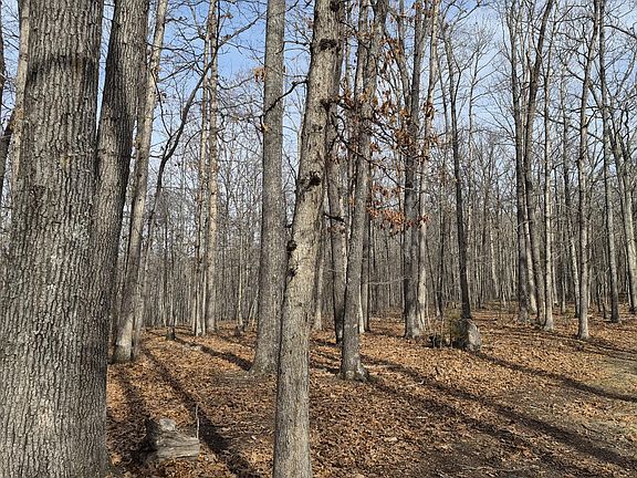 4th image of Stoney Run Rd