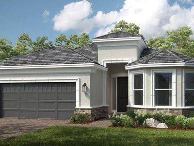 29825 Imperati Blvd, Wesley Chapel, FL, 33543