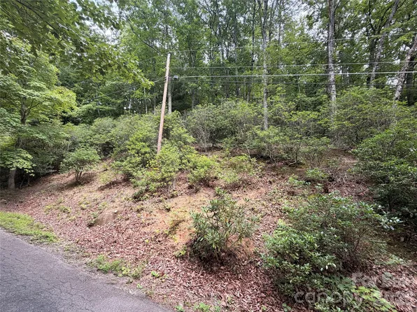 99999 Harrison Hill Rd #15, Swannanoa, NC 28778