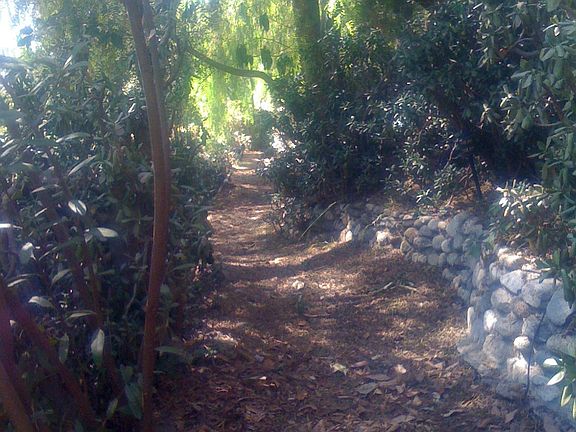 forest path
