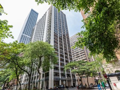 222 E Pearson St APT 301, Chicago, IL, 60611