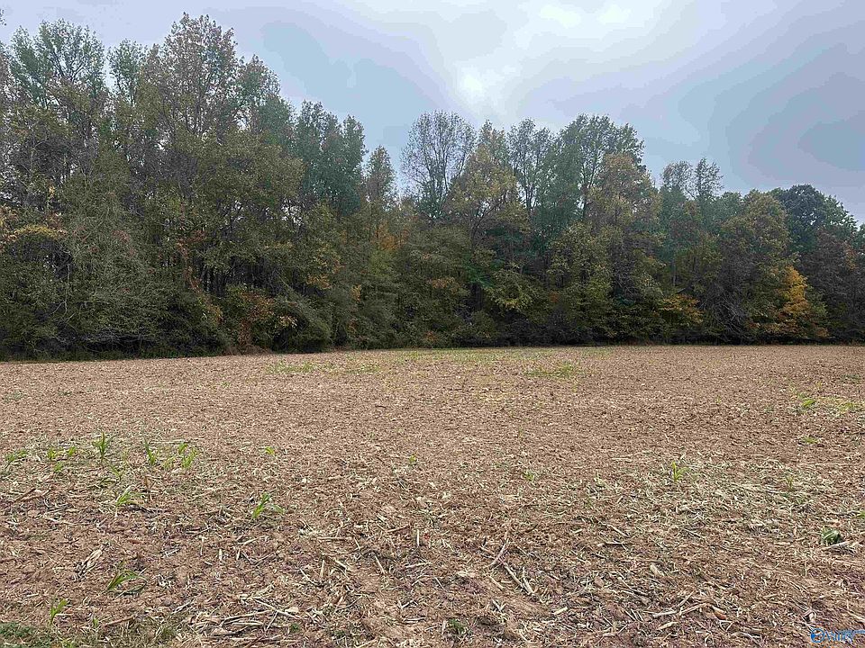 2nd image of 1 Stevenson Rd