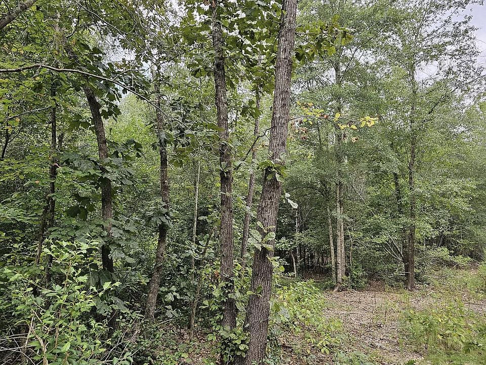 2nd image of 535A Union Academy Road