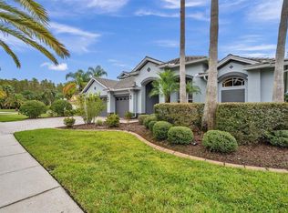10813 Barbados Isle Dr, Tampa, FL 33647
