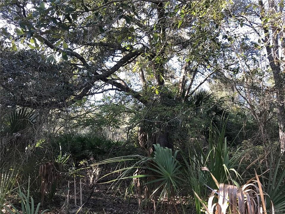 1st image of 10288 N Coco Plumosa Dr