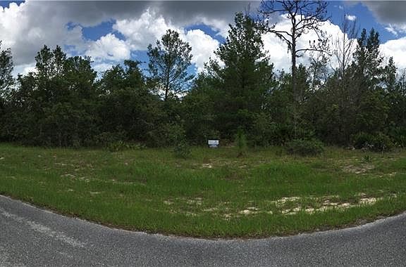4th image of 217 Hyacinth Ct