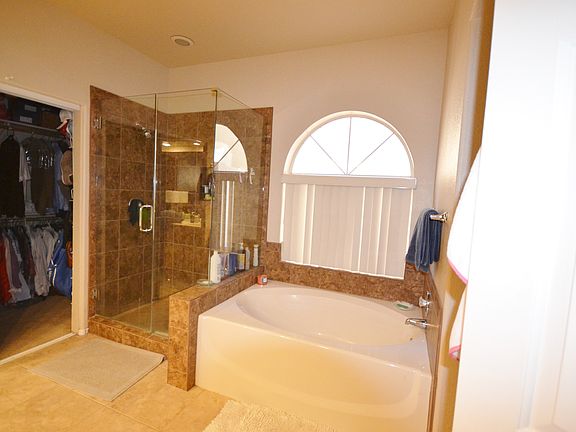 Master Bath shower and tub