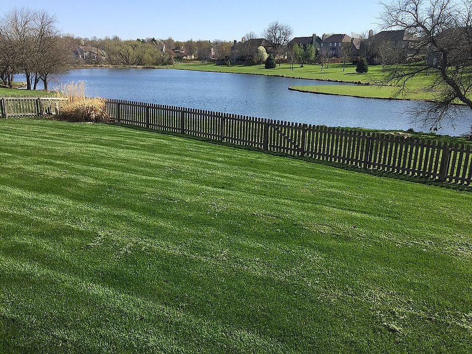 View from deck
