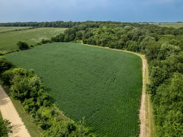 N River Rd, Ridott, IL 61067
