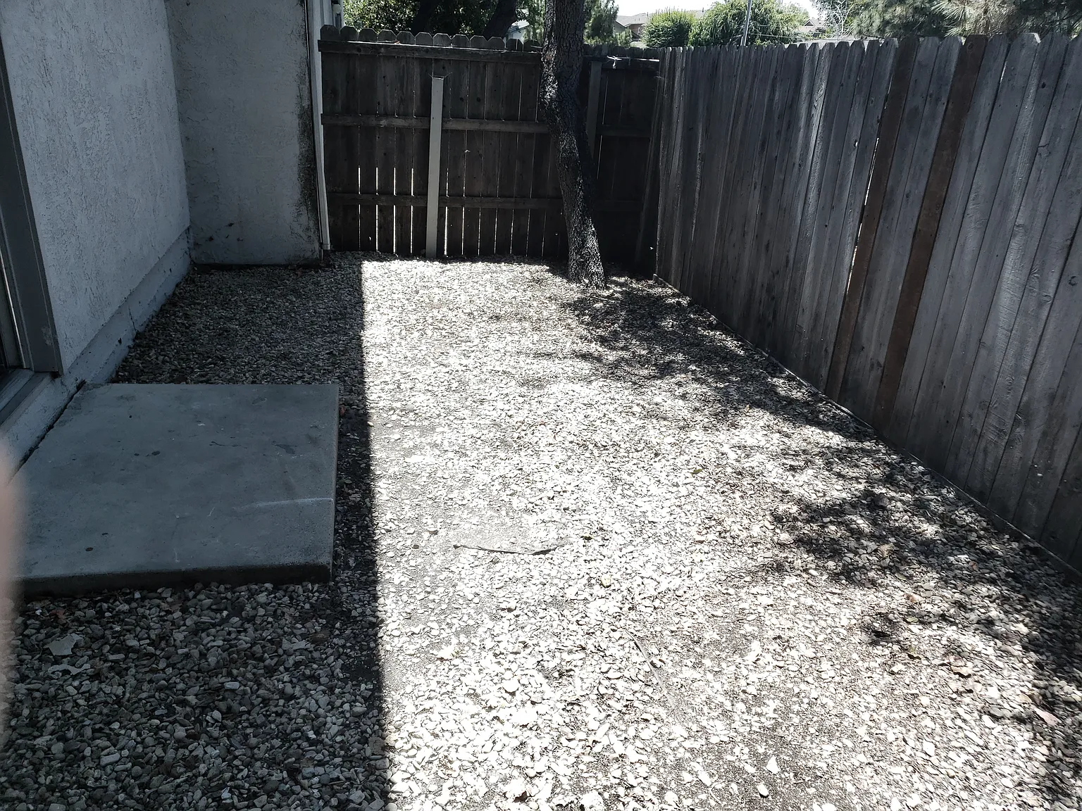2 bed, 1.5 bath, 964 sqft, $2,750 — Photo 4