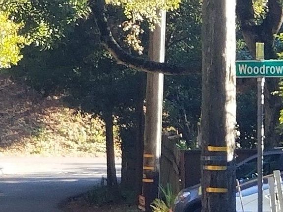 2nd image of 7475 Woodrow Dr