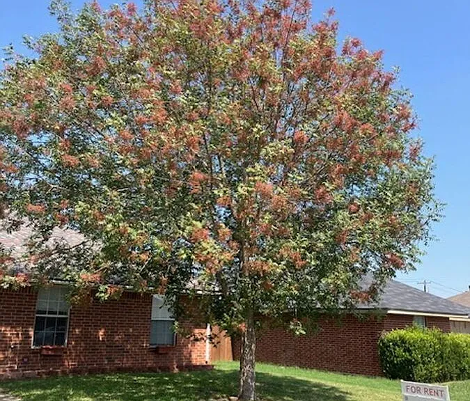 2701 Mason Dr — Photo 3