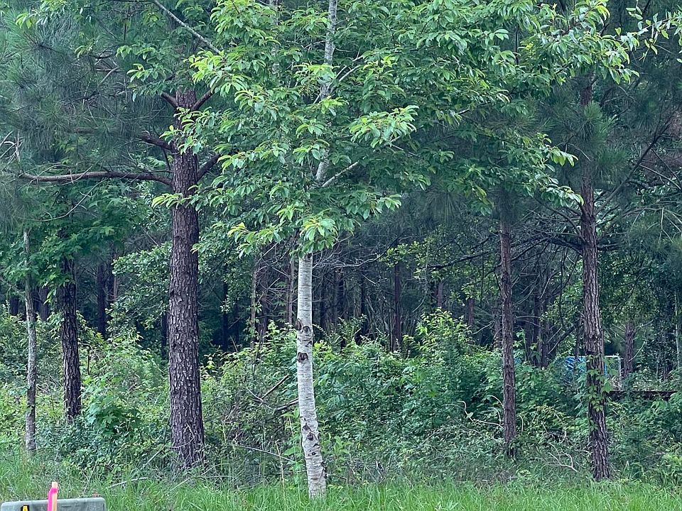 1st image of 626 Arbor Drive SE LOT 34