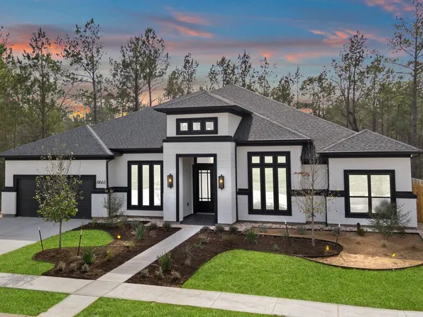 41663 Wendele Way, Todd Mission, TX 77316