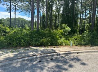 132 Spoonbill Ct, Carrabelle, FL 32322