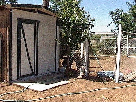 dog kennels licensed