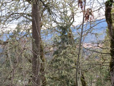 S 72nd St, Springfield, OR, 97478