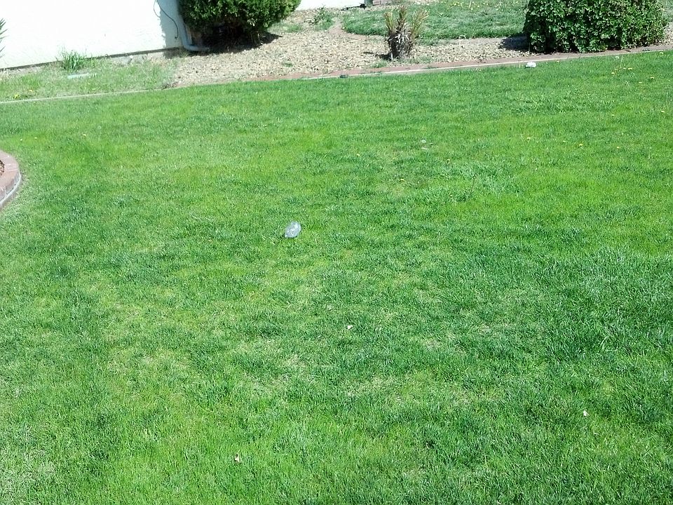 2nd image of 42048 Shadow Ln