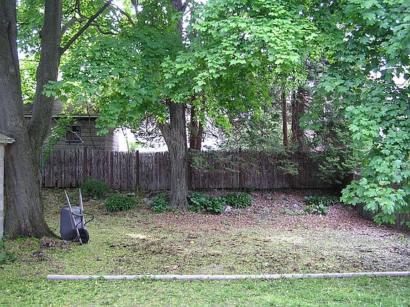 back yard