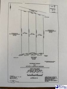 LOT 5 Lenson Mangum Rd, Pageland, SC, 29728