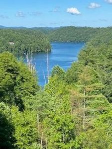 1001 Lake Apalachia Acres Dr, Murphy, NC, 28906