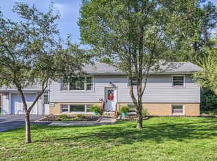 161 E Wood St, New Lenox, IL 60451
