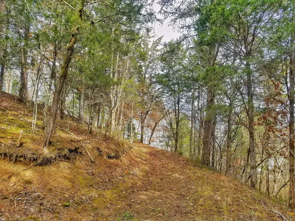 Windy Cove Way, Sevierville, TN 37876