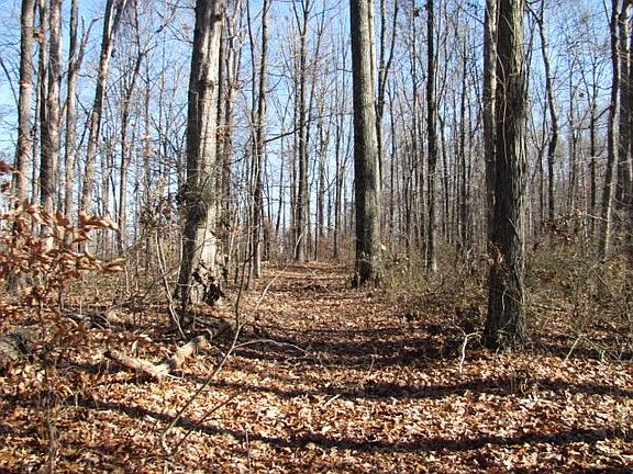4th image of 0 Potts Hollow Dr