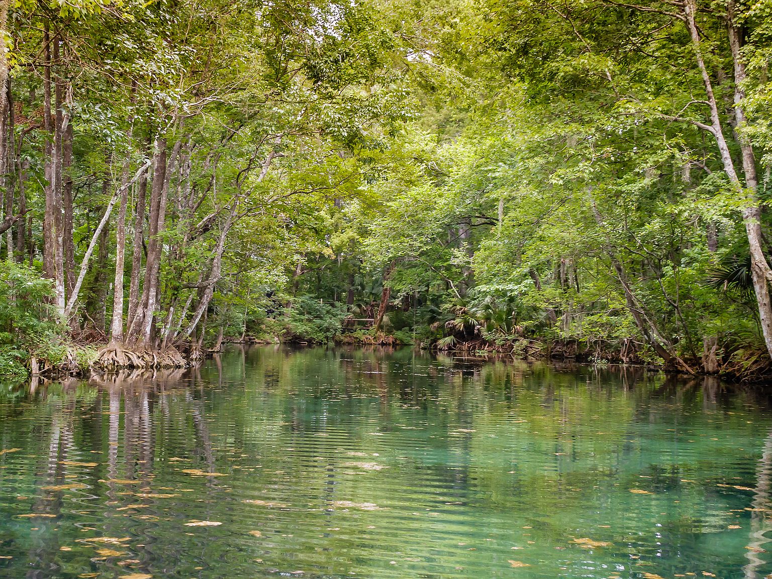 Silver Springs Shores by Focus Homes in Ocala FL Zillow