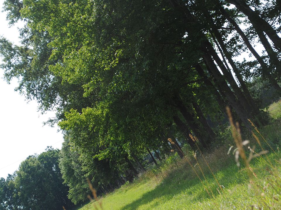 Left side of the property