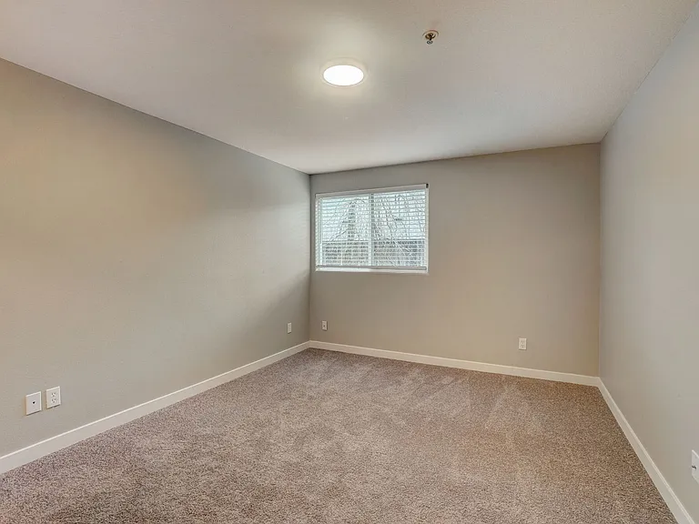 Veri 1319 — Photo 141
