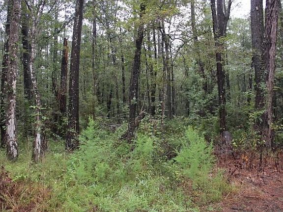 3rd image of 1B Horseshoe Rd