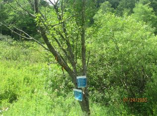 E Brook Rd, Walton, NY 13856