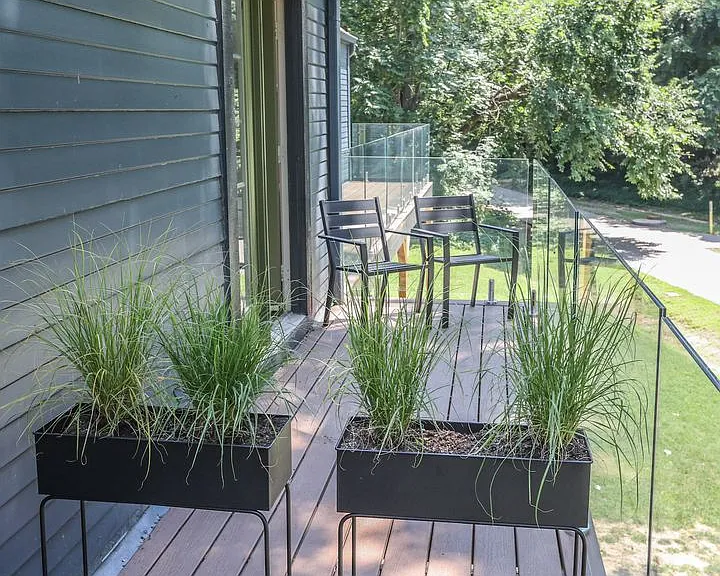 Trailside at Talia — Photo 44