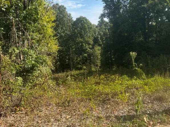 1116 Gordon Bradley Rd, Belton, KY 42324