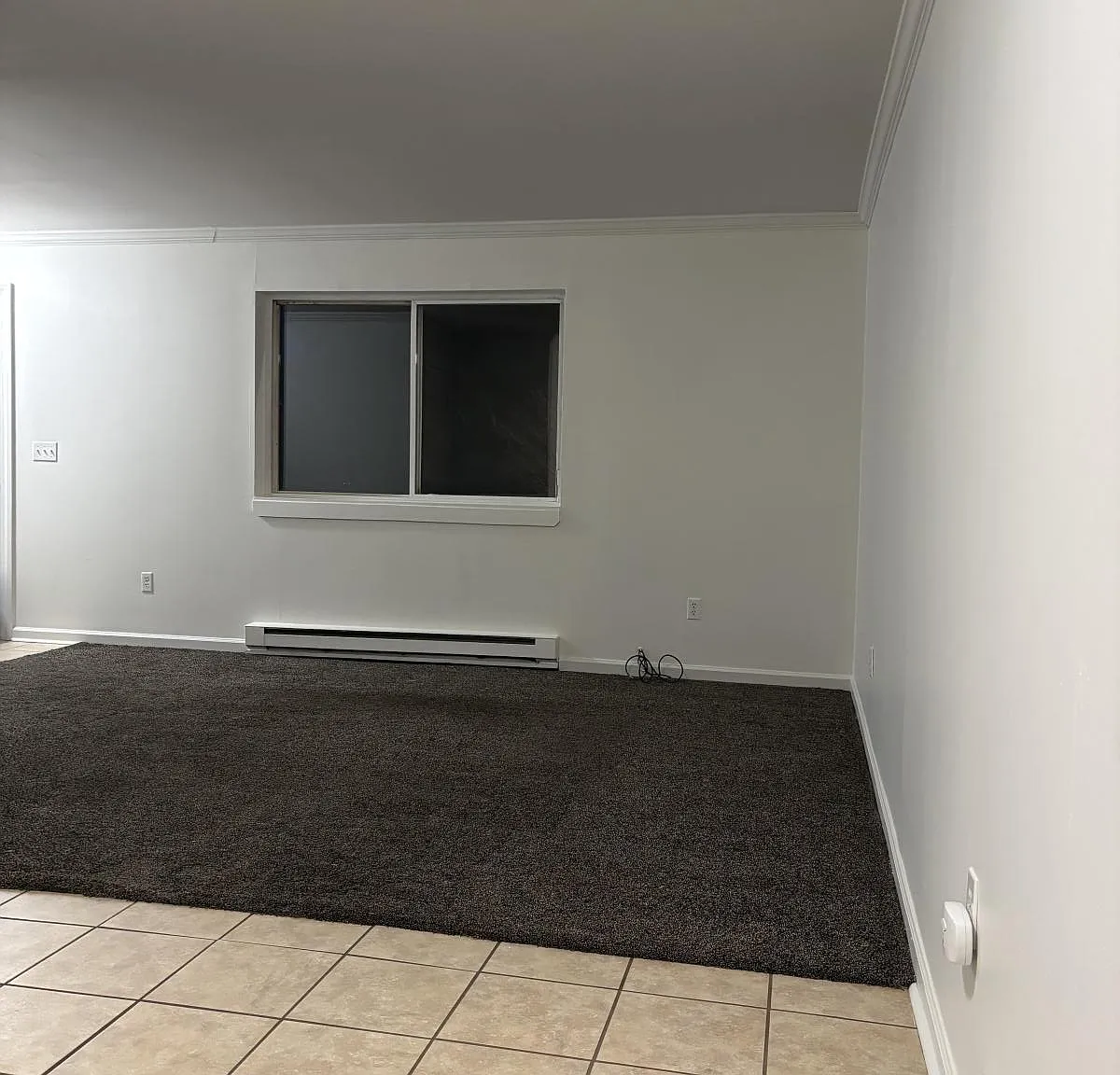 2 bed, 1000 sqft, $1,595 — Photo 4