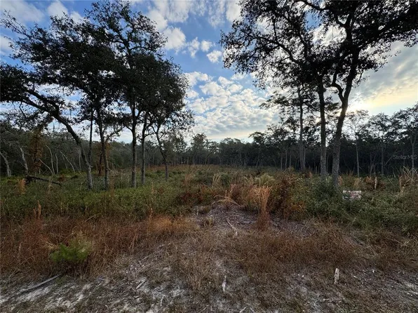 8186 Gidding Ln #4, Webster, FL 33597