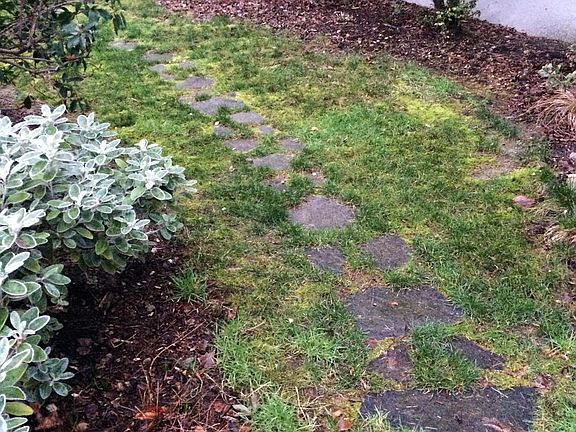 start of path to rental