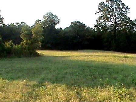 4th image of 14275 Us Highway 82 E