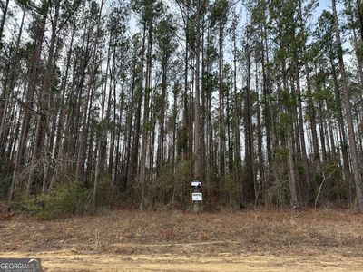 6 Southside Dr, Lyons, GA, 30436