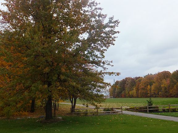 Backyard, looking into park