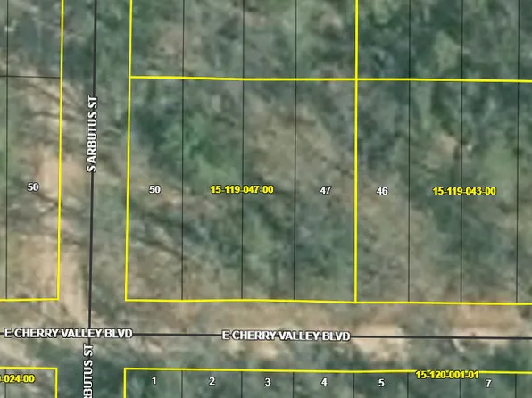 1384 Cherry Valley St, Idlewild, MI 49642