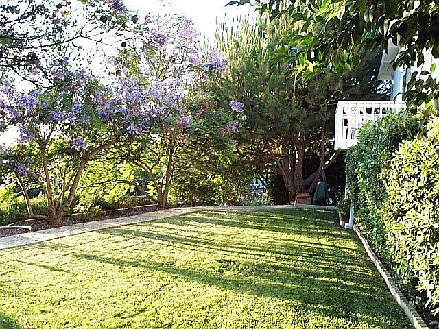 Back Yard Area