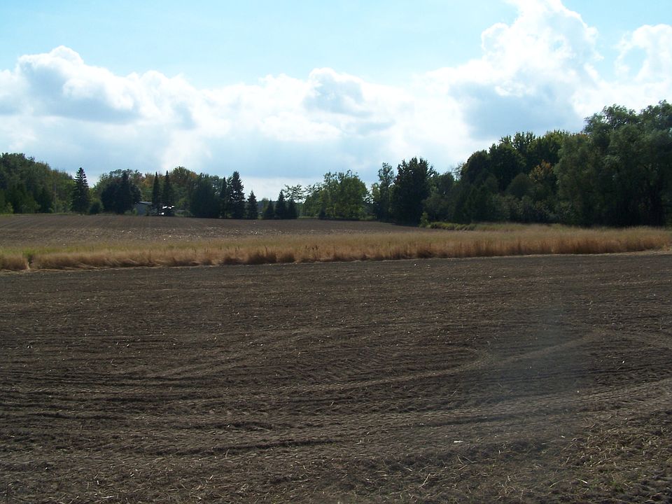 2nd image of 12868 Green Rd
