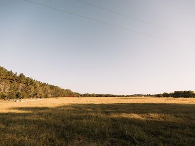 8235 E Fm 227, Grapeland, TX, 75844
