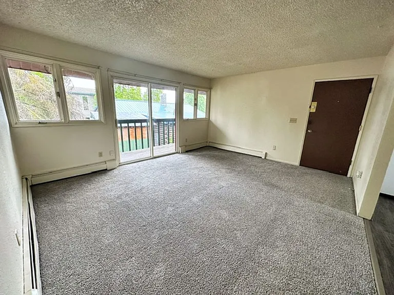 325 N Hoyt St — Photo 16