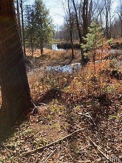 1st image of 13869 Middle Branch Rd Lot 1