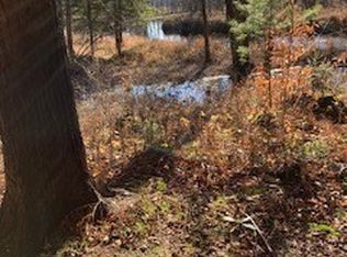13869 Middle Branch Rd Lot 1, Harrisville, NY 13648