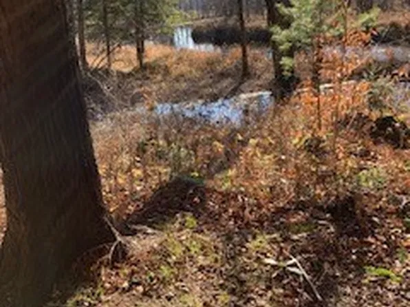 13869 Middle Branch Rd Lot 1, Harrisville, NY 13648